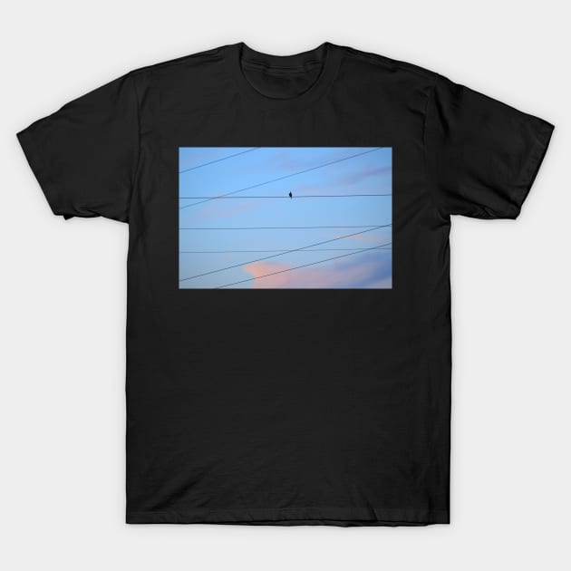 Crested Cloud, Wires and Bird T-Shirt by LaurieMinor